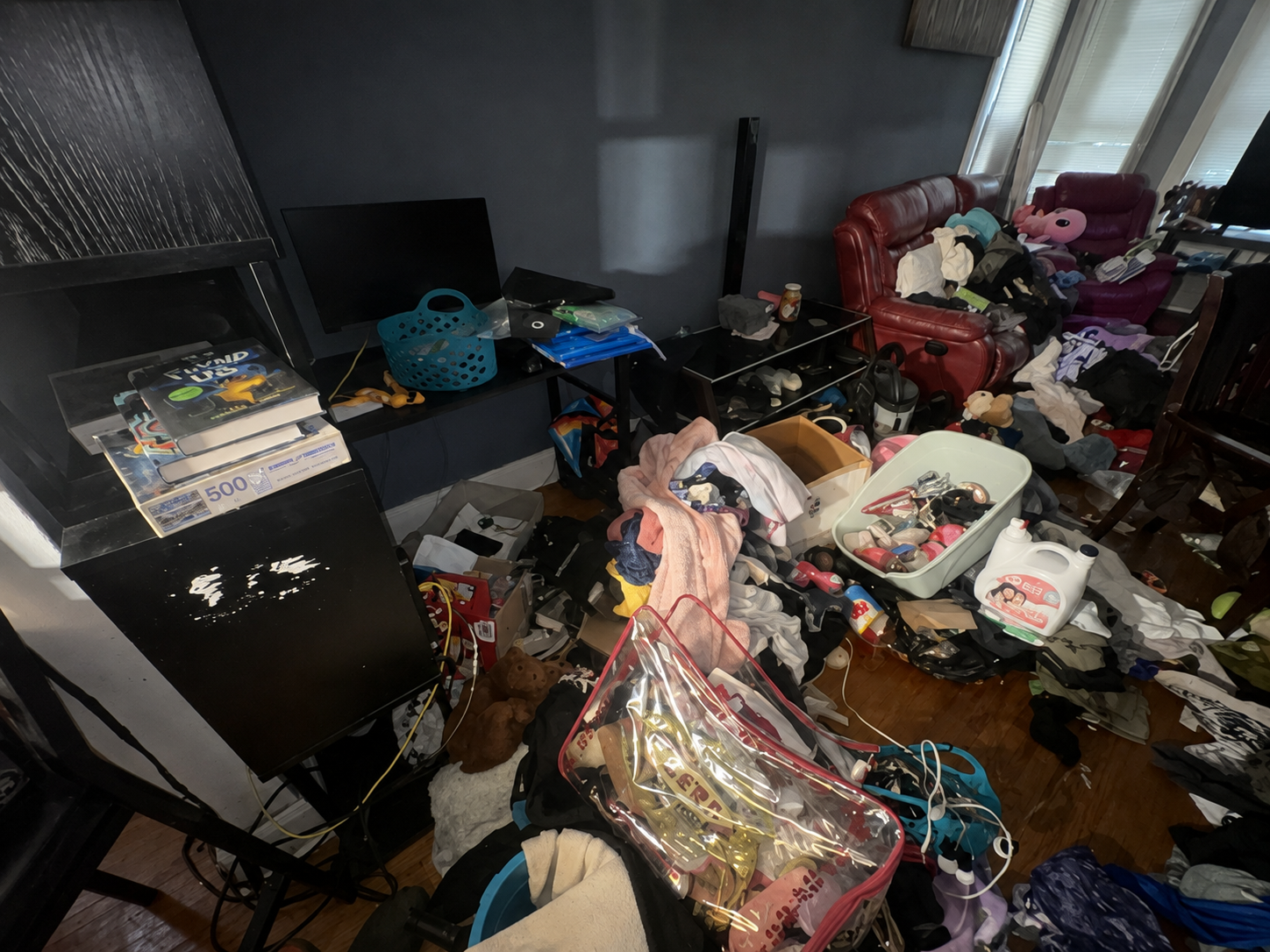 Room before junk removal — filled with furniture and clutter